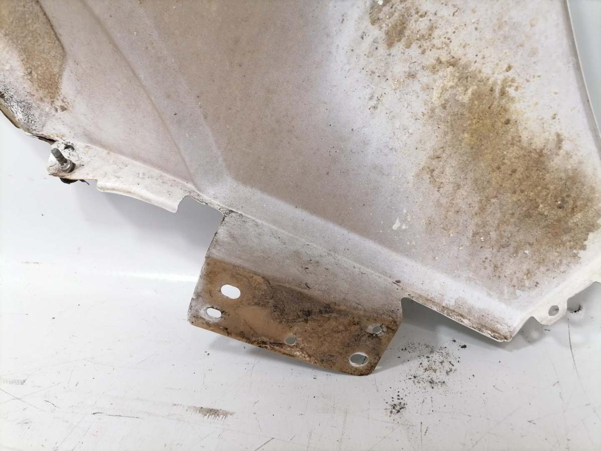 Mercedes Sprinter 906 Boriginal Kotfl&uuml;gel vorn links Wei&szlig; j.2010